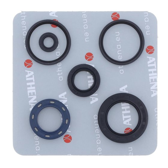 PEOPLE 250 (2003 - 2007) engine oil seal set | ATHENA