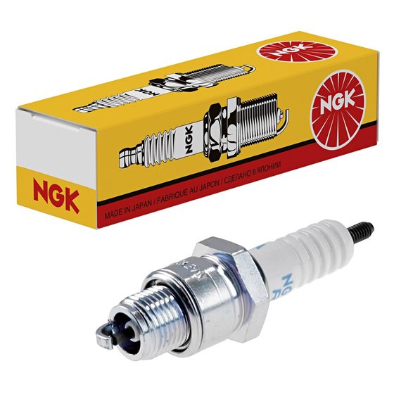 TOP BOY 50 (2000 - 2006) ngk br8hsa spark plug | NGK